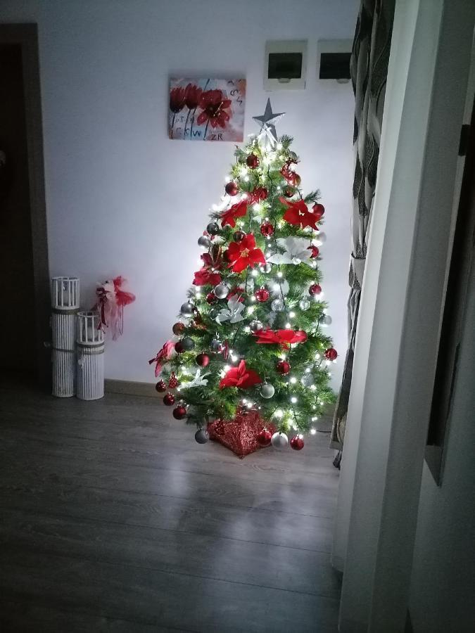 Villa Maya Borşa Екстериор снимка